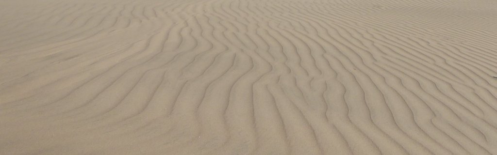 A special thanks to special&nbsp;people