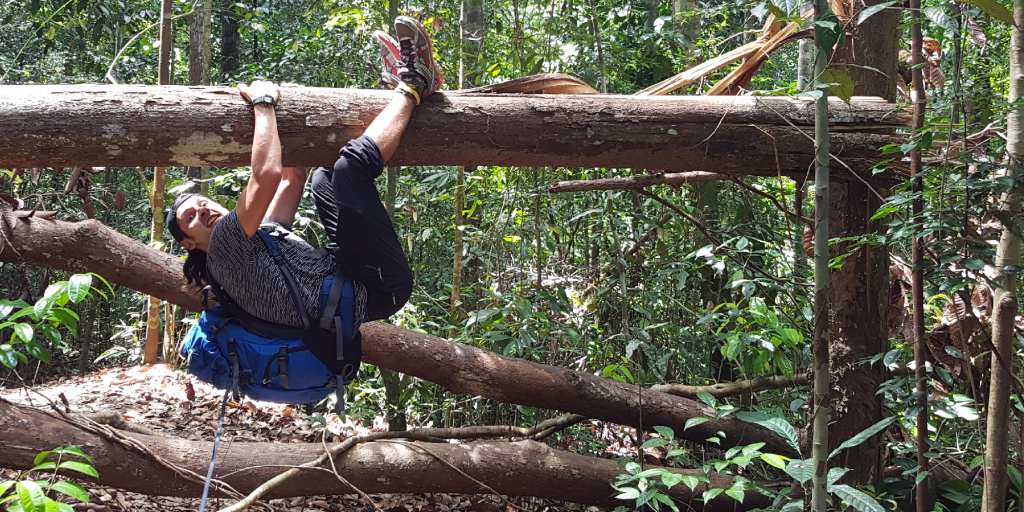 A secluded jungle hike to mangrove: the Kabili&nbsp;trail